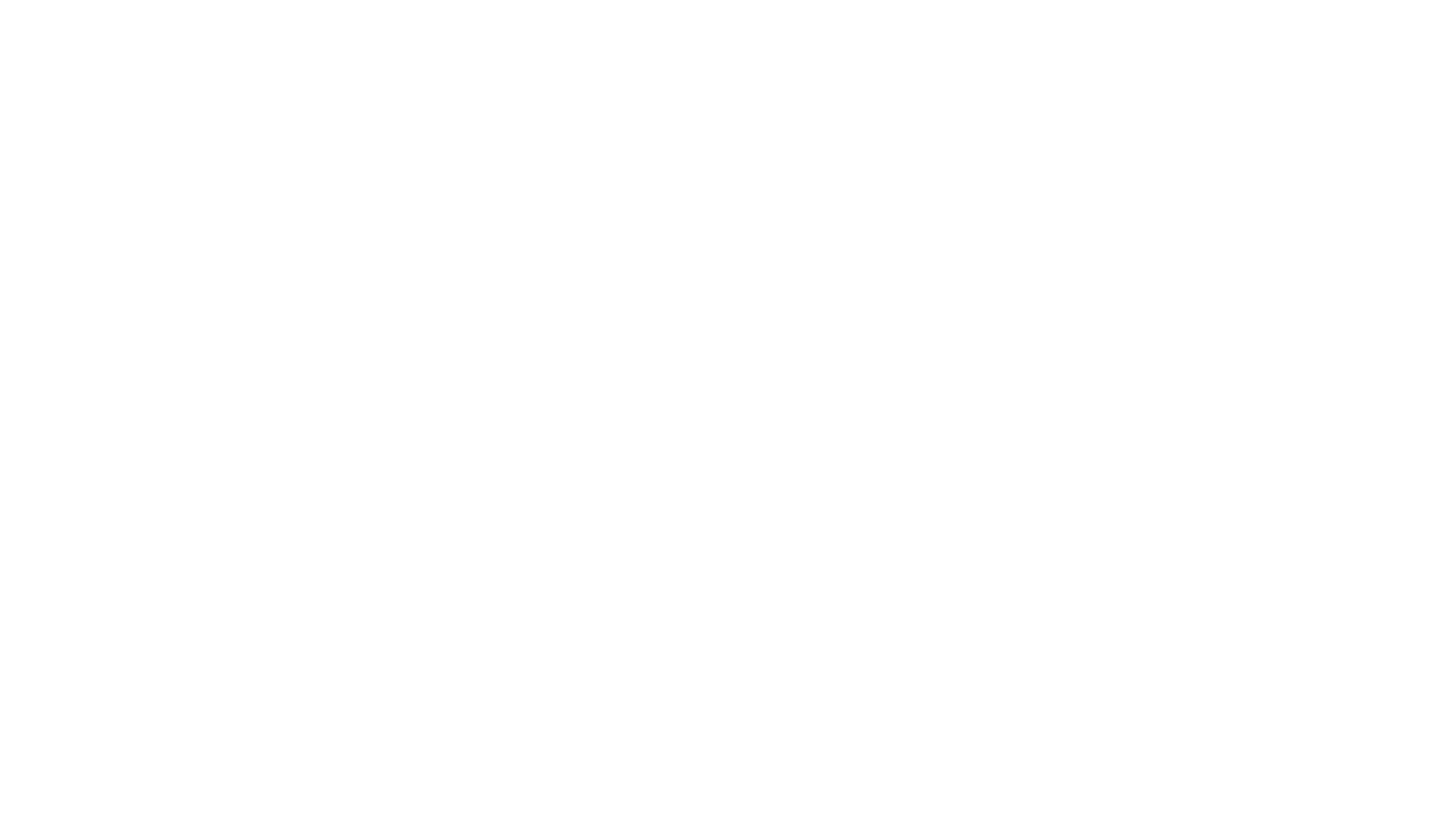 Logo P1 Fuels